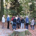 Geografisches Arboretum Rombergpark am 17,102018 (70)